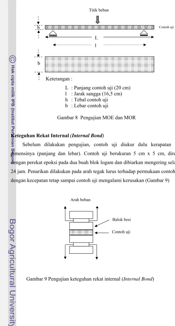 Gambar 8  Pengujian MOE dan MOR 