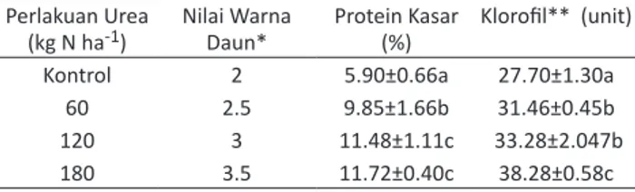 Tabel 2.  Nilai indeks warna daun, protein kasar dan klorofil daun  rumpur raja sebagai respon terhadap pemupukan N  Perlakuan Urea  