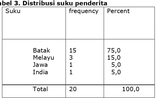 Tabel 3. Distribusi suku penderita 