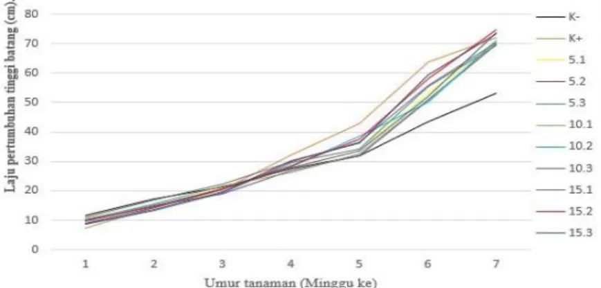 Tabel  di  atas  memperlihatkan bahwa pertumbuhan tinggi  batang  tanaman  terbaik dicapai oleh perlakuan 15.2 dengan rata-rata pada umur 7 minggu sebesar  73,77±0,57  cm/perlakuan