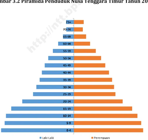 Gambar 3.2 Piramida Penduduk Nusa Tenggara Timur Tahun 2016 