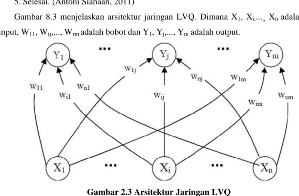 Gambar  8.3  menjelaskan  arsitektur  jaringan  LVQ.  Dimana  X 1 ,  X i, ...¸  X n  adalah  input, W 11 , W ij ,..., W rm  adalah bobot dan Y 1 , Y j ,..., Y m  adalah output