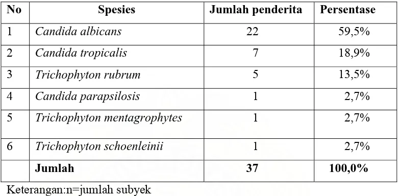 Tabel 4.7. Spesies jamur penyebab infeksi jamur superfisialis (n=37)                    