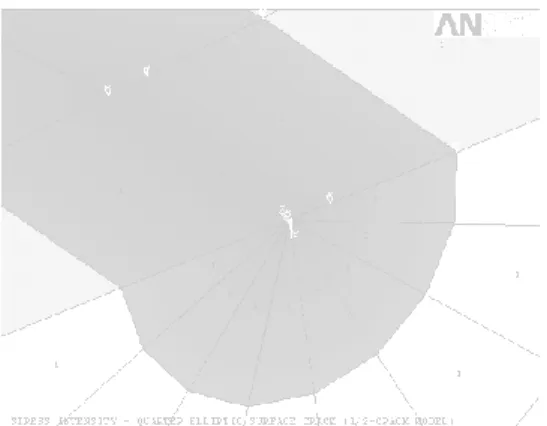 Gambar 4. Model ANSYS dari elemen singular 