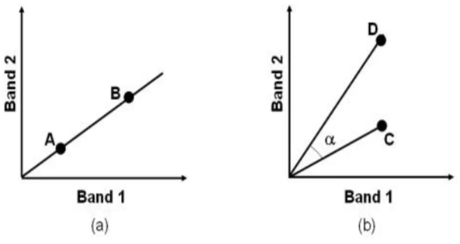 Gambar 2.15. Konsep SAM (a) A dan B merupakan objek yang sama/sejenis, panjang atau pendeknya vektor tergantung pada besar atau kecilnya iluminasi