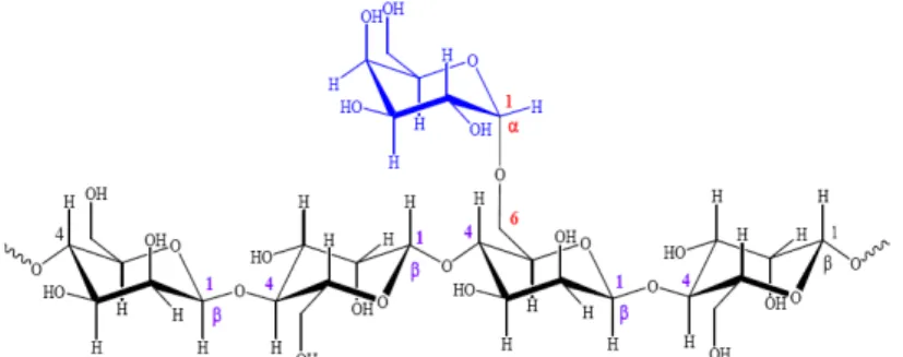 Gambar 2 Gambaran struktur locust bean galaktomannan (Buckeridge et al. 2000)  Glukomannan merupakan polimer dengan rantai utama terdiri dari  D-glukosa dan D-mannosa terikat bersama-sama dengan ikatan β-(1,4)