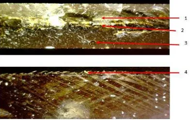 Gambar 4.6. Pengamatan hasil foto patahan spesimen uji tarik pada sudut uji 600 dengan perbesaran 50x 