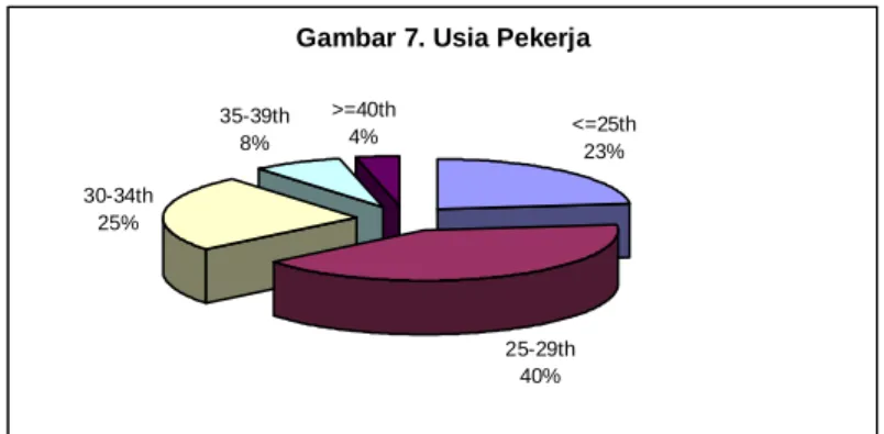 Gambar 7. Usia Pekerja