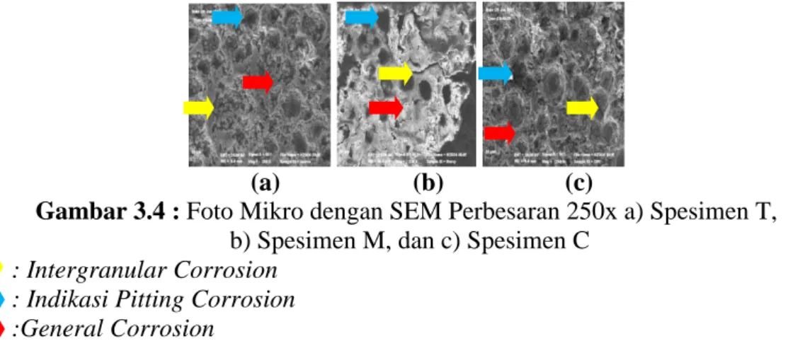 Gambar 3.4 : Foto Mikro dengan SEM Perbesaran 250x a) Spesimen T,   b) Spesimen M, dan c) Spesimen C 