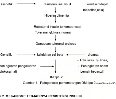 Gambar 1.  Patogenesis perkembangan DM tipe 2 (Modifikasi dari Prim Care 1999) 