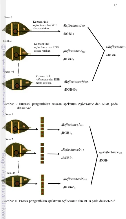 Gambar 9 Ilustrasi pengambilan rataaan spektrum reflectance dan RGB pada 