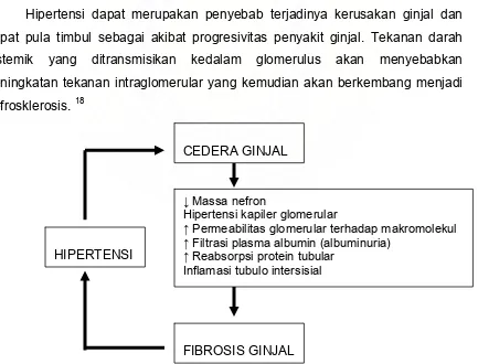 Gambar 1. Hipertensi sistemik sebagai faktor sentral kontribusi terhadap progresivitas penyakit ginjal kronik17   