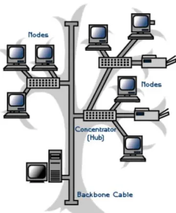 Gambar 2.10 Topologi Hierarchical Tree 