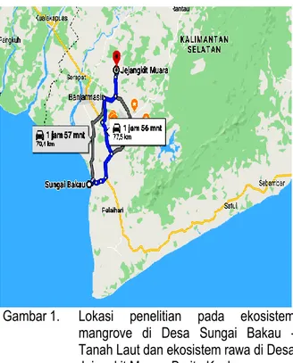 Gambar 1.   Lokasi  penelitian  pada  ekosistem  mangrove  di  Desa  Sungai  Bakau  -  Tanah Laut dan ekosistem rawa di Desa  Jejangkit Muara- Barito Kuala
