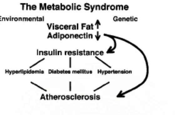 Gambar-4. Konsep sindroma metabolik. Pentingnya akumulasi lemak 