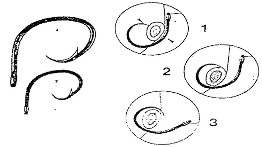Gambar 5. Mata pancing tuna circle hook dan proses terkaitnya mata  pancing. 