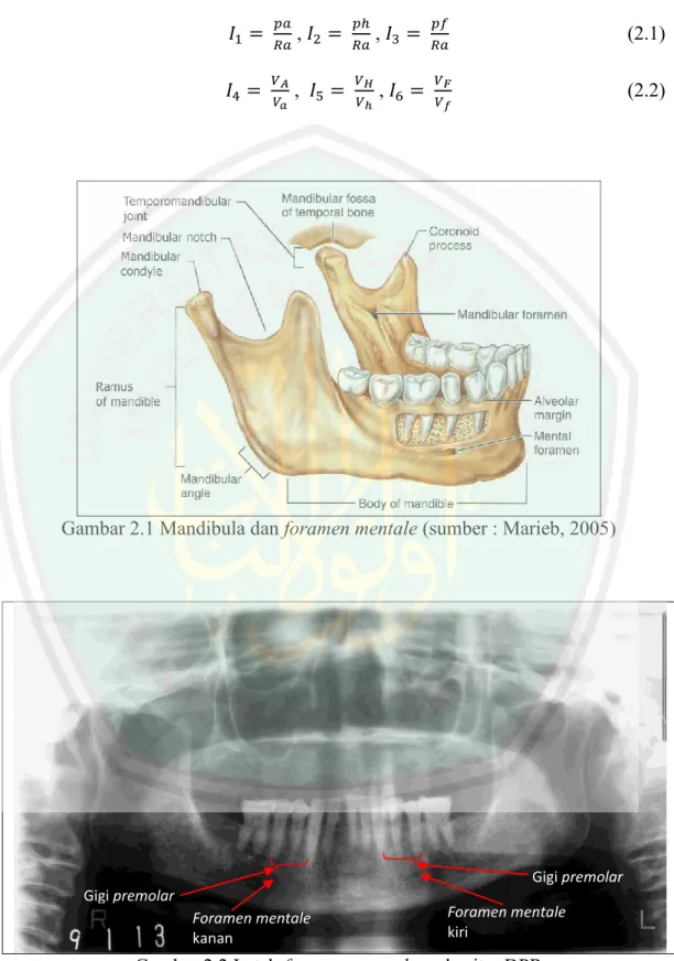 Gambar 2.1 Mandibula dan foramen mentale (sumber : Marieb, 2005) 