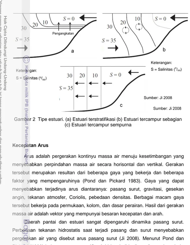 Gambar 2  Tipe estuari. (a) Estuari terstratifikasi (b) Estuari tercampur sebagian  (c) Estuari tercampur sempurna 