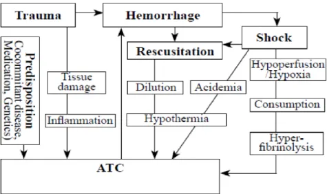 Gambar 2 : Mekanisme terjadinya Koagulopati  pada trauma (Acute Traumatic  Coagulopathy / ATC)  