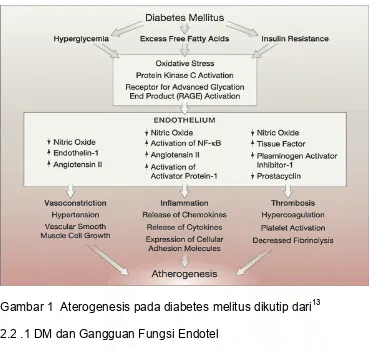 Gambar 1  Aterogenesis pada diabetes melitus dikutip dari13 