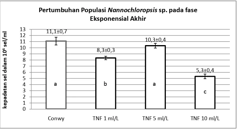 Gambar 4. Pertumbuhan eksponensial akhir/puncak Nannochloropsis sp. 