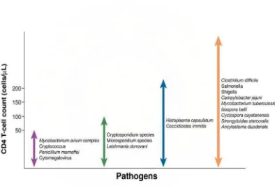 Gambar 1: Hubungan antara patogen saluran cerna sebagai penyebab diare kronik pada penderita HIV/AIDS (Dikutip dari kepustakaan 27) 