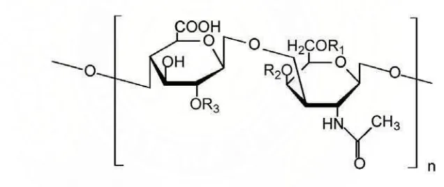 Gambar-2. Struktur kimia Kondroitin Sulfat 
