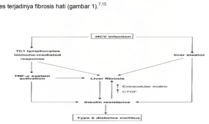 Gambar 1. Mekanisme terjadinya DM pada hepatitis C dikutip dari 7 