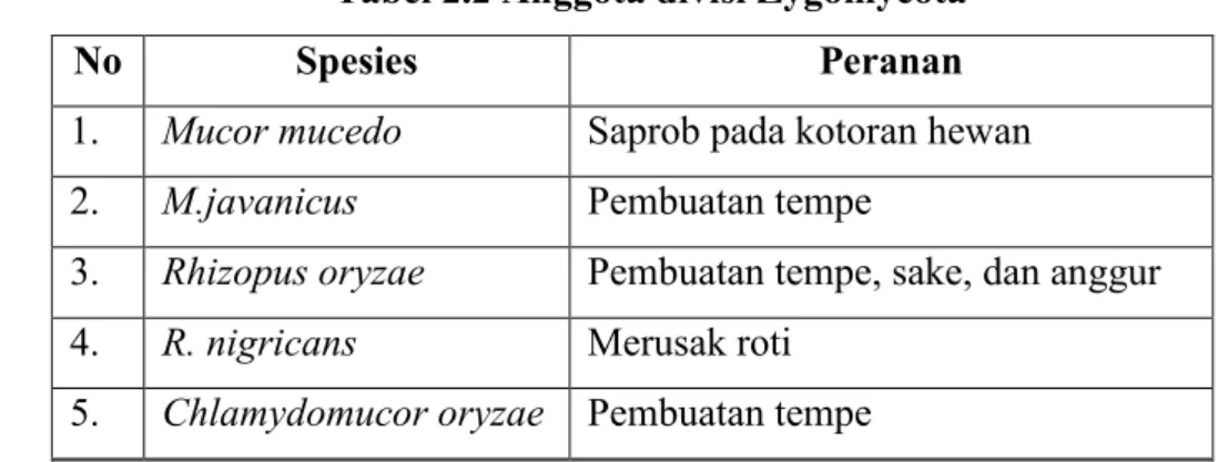 Tabel 2.2 Anggota divisi Zygomycota 