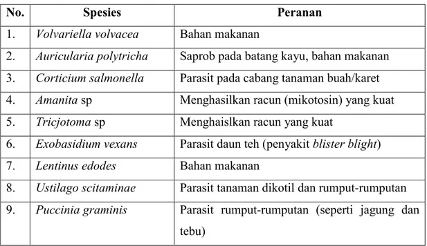 Tabel 2.4 Peranan divisi Basidiomycota 