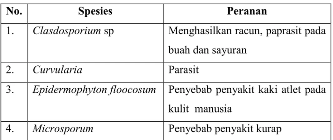 Tabel 2.5 Peranan Divisi Deuteromyca 