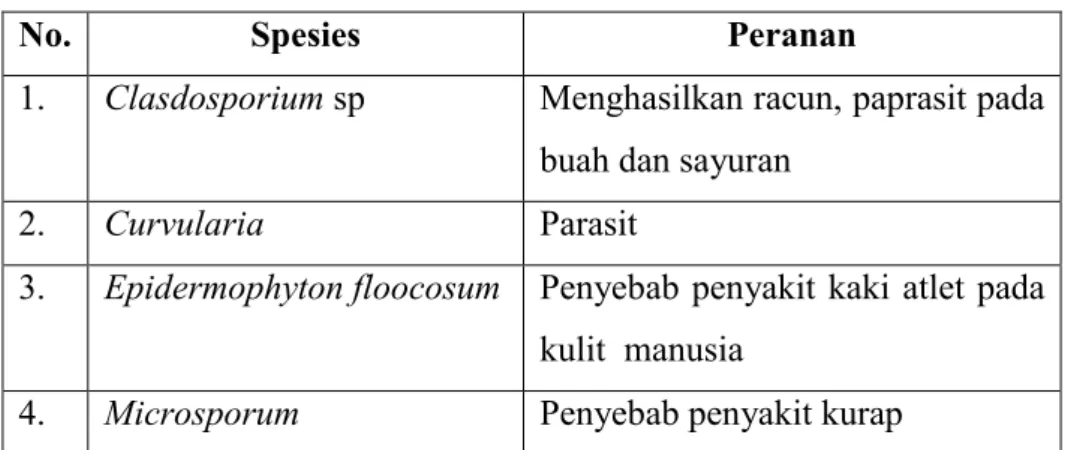 Tabel 2.5 Peranan Divisi Deuteromyca 