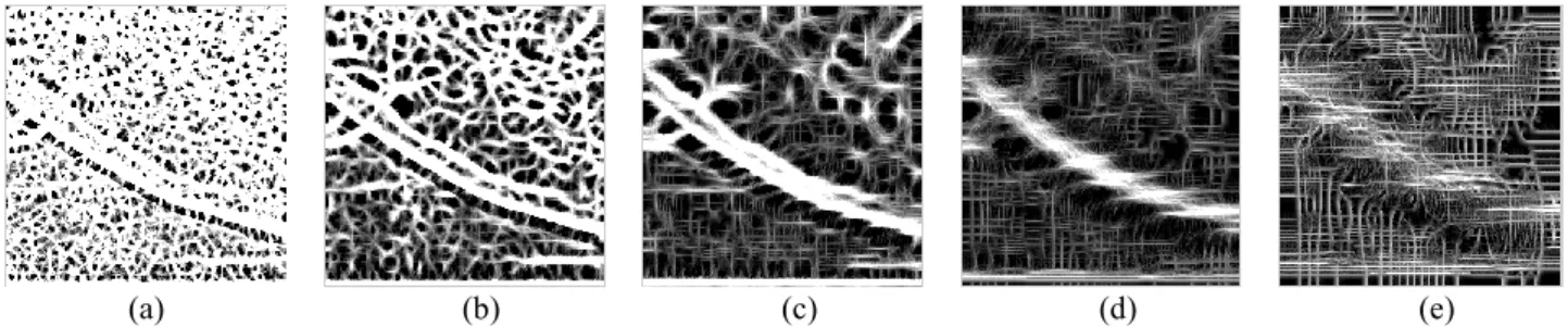 Gambar 6. Hasil uji coba level pada multiscale line operator (a) level 1 (b) level 2 (c) level 3 (d) level 4 (e) level 5