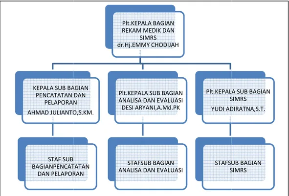 Gambar 3.1 Struktur Organisasi Sumber : RSUD Palembang 