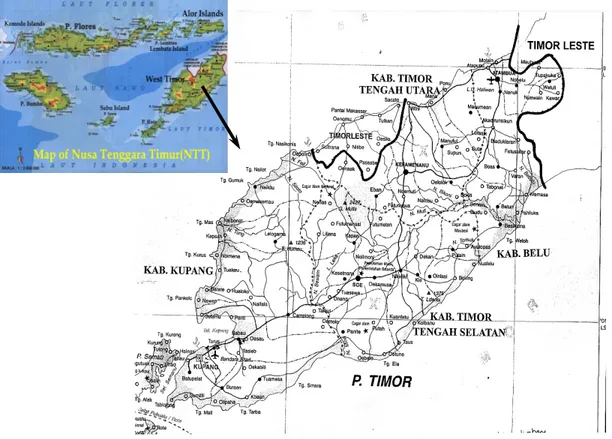 Gambar 1. Peta NTT dan Wilayah Timor Barat 