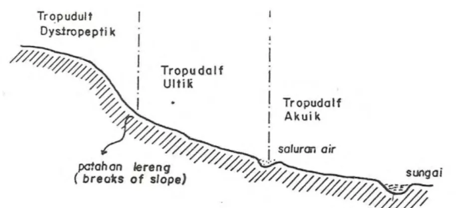 Gambar 4. Sekuen Tanah di Cipayung-Bogor (Sukarman, 1979) 
