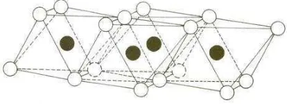 Gambar 2. Struktur Aluminium Oktahedral 