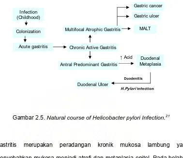 Gambar 2.5. Natural course of Helicobacter pylori Infection.21 
