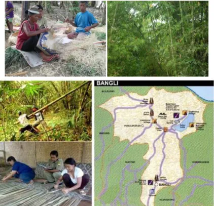 Gambar 5.4. Potensi bambu sebagai sumber energi (Sumber: PT IAED, 2012)