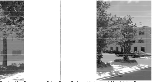 Gambar 13.  Penggunaan Pohon-Pohon Berkanopi Lebar untuk Menciptakan Bayangan (Figure 13