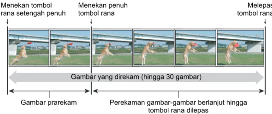 Gambar yang direkam (hingga 30 gambar)