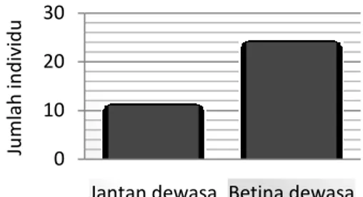 Gambar 3. Diagram sex ratio rusa totol jantan dan  betina dewasa 