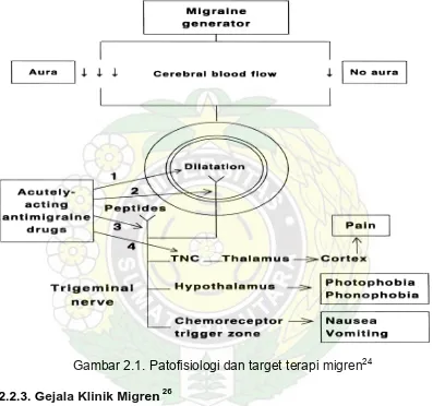 Gambar 2.1. Patofisiologi dan target terapi migren24 