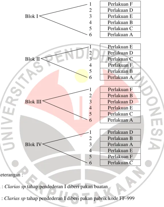 Tabel 3.1 Rancangan Perlakuan 