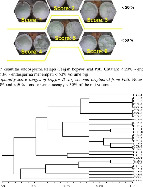 Figure 3.  Endosperm  quantity  score  ranges  of  kopyor  Dwarf  coconut  originated  from  Pati