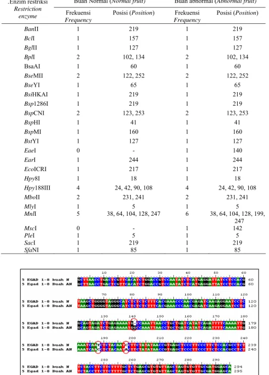 Tabel 3.  Enzim  restriksi  yang  mempunyai  situs  pemotongan  pada  sekuen  DNA daerah 5’ flanking EGAD1 dari buah normal   dan abnormal