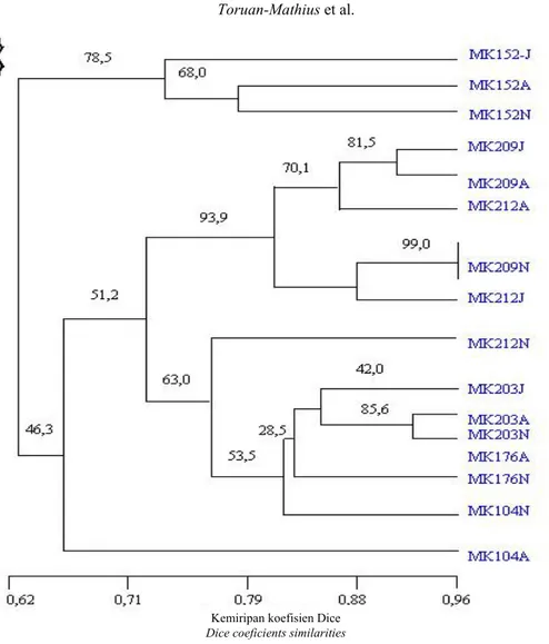 Gambar 3. Dendogram 16 genotipe klon kelapa sawit hasil analisis kluster berdasarkan  pola pita DNA dengan metode UPGMA menggunakan 15 primer 
