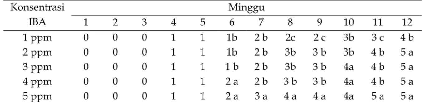 Tabel 2.  Rata-rata jumlah akar (buah) pada media  MS +  konsentrasi IBA yang berbeda   Konsentrasi  IBA  Minggu   1 2 3 4 5 6 7 8 9 10 11 12  1 ppm  0  0  0  1  1  1b  2 b  2c  2 c  3b  3 c  4 b  2 ppm  0  0  0  1  1  1b  2 b  3b  3 b  3b  4 b  5 a  3 ppm
