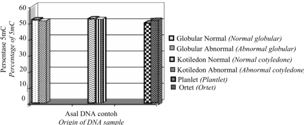 Gambar  3. Persentase 5-metilsitosin dari embriosomatik, planlet dan ortet normal klon MK 638