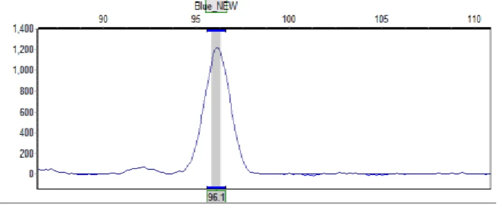 Gambar  1.    Contoh  grafik  puncak  pancaran  label  fluoresen  (FAM)  pada  salah  satu  aksesi  durian  menggunakan lokus DzMTa06 